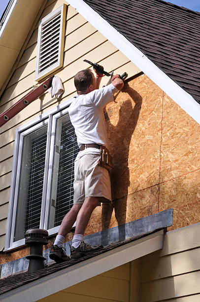 Best Custom Trim and Detailing for Siding  in Lake Shore, UT